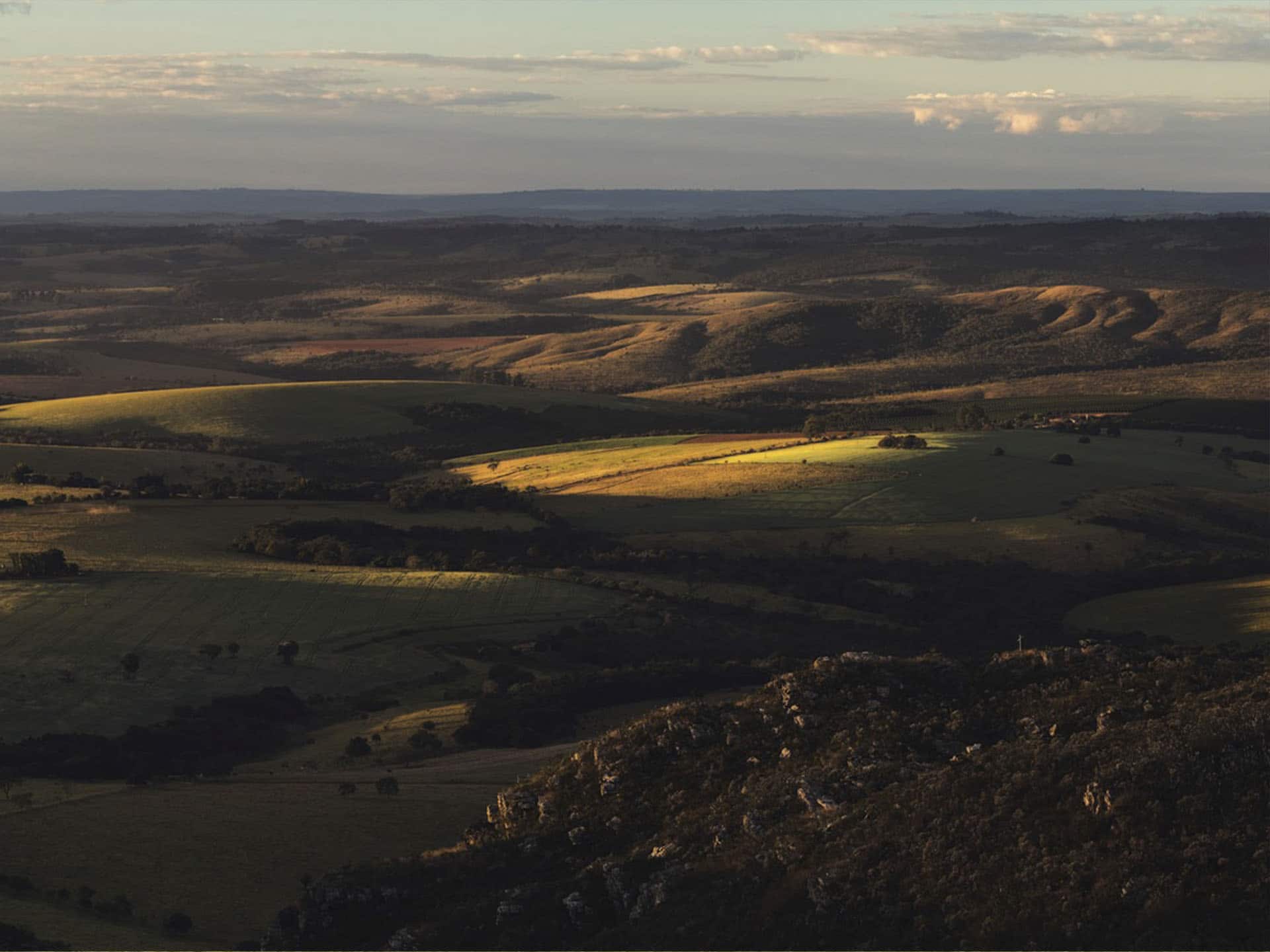 Crônica a roça - Panorãmica- Fábio Rage